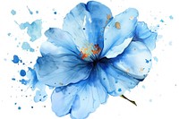 Watercolor Blue flower hibiscus blossom.