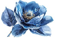 Botanical illustration Blue flower accessories accessory.