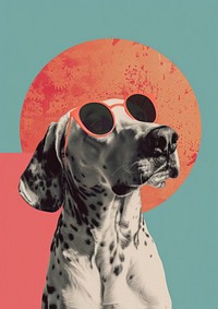 Retro collage of a dog sunglasses mammal animal.