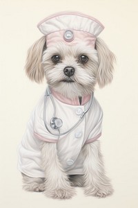 Dog character Nurse drawing sketch veterinarian.