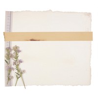 Lilac flower plant paper.