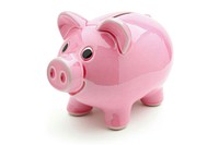 Economy of piggy bank animal mammal.