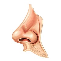 Human person head ear.