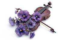 Viola viola blossom violin.
