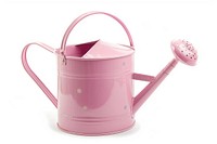Pink watering can white background container gardening.