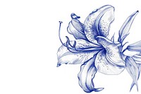 Vintage drawing lily sketch flower paper.