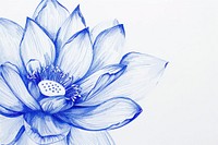 Vintage drawing lotus sketch flower plant.