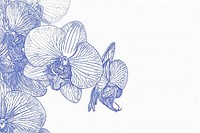 Vintage drawing orchid sketch flower backgrounds.