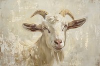 Close up on pale goat livestock wildlife animal.