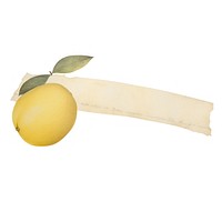 Lemon shape paper grapefruit produce plant.