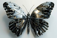 Butterfly in titanium texture butterfly insect animal.