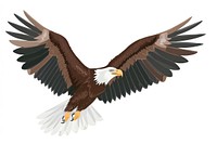 Eagle animal flying bird.