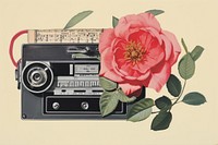 Paper collage of rose with tape flower plant inflorescence.