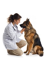 Female veterinarian dog doctor person.