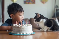 South asian boy and cat cake birthday cake dessert.