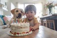 South asian boy and dog cake birthday cake dessert.