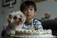South asian boy and dog cake birthday cake dessert.