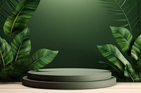 Podium scene with leaf platform vegetation rainforest outdoors.
