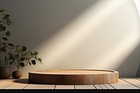 Podium scene with wooden platform furniture indoors bathing.