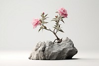 Blossom ikebana pottery flower.