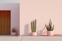 Cactus growing indoors plant interior design.