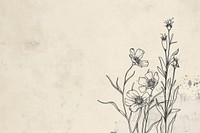 Hand drawn line botanical with trendy wildflowers illustrated graphics drawing.