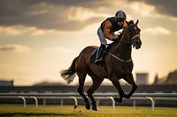 A jockey riding a horse on a track accessories recreation accessory.