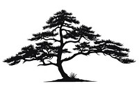 Pine tree silhouette art illustrated.