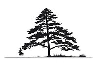 Pine tree silhouette pine animal.