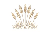 Vector illustration of wheat line icon agropyron produce grass.