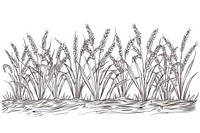 Vector illustration of Rice farming element line illustrated drawing sketch.