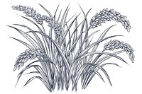 Vector illustration of Rice farming element line illustrated drawing produce.