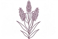Vector illustration of sorghum line icon illustrated chandelier lavender.