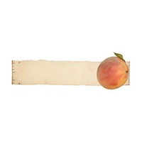 Peach fruit plant paper.