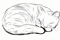 Sleeping cat drawing cartoon animal.