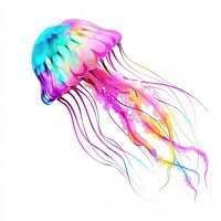 Jellyfish invertebrate accessories accessory.