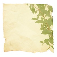Green plant ripped paper backgrounds leaf text.