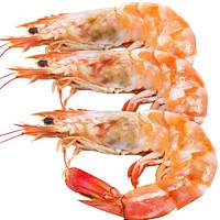 Cooked shrimp invertebrate seafood lobster.
