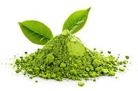 Japanese matcha green tea beverage powder plant.