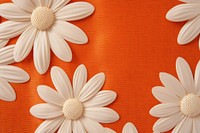 Daisy backgrounds flower petal.