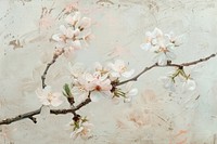 Oil painting of a close up on pale cherry blossom backgrounds flower plant.