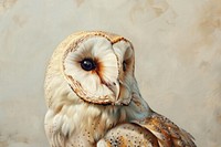 Oil painting of a close up on pale owl animal bird wildlife.