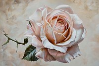 Oil painting of a close up on pale rose flower plant art.