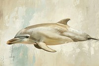 Oil painting of a close up on pale dolphin animal mammal fish.