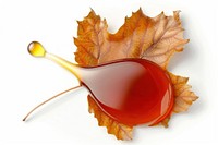 Drop shaped boder Maple syrup isolate plant honey leaf.