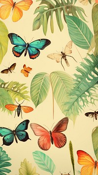 Wallpaper bugs backgrounds butterfly drawing.