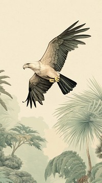 Wallpaper eagle animal flying sketch.