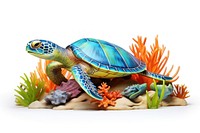 A sea life reptile animal turtle.