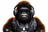 Cool young DJ Gorilla headphones glasses mammal.