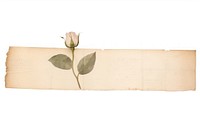 Adhesive tape is stuck on a rose ephemera collage flower plant paper.